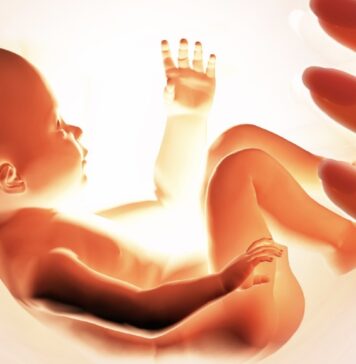 Программа ЭКО в естественном цикле