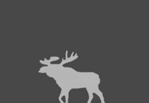 Премиальный бренд одежды Abercrombie & Fitch и Hollister