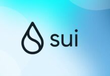 Особенности и уникальность криптовалюты Sui