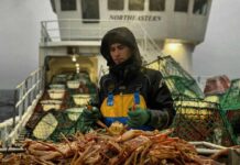 Перемещение по Жизни Алины Бурковски: Радикальный Зигзаг от IT-Гуру к Заработку на Краболовном Корабле Алина Бурковски краболов