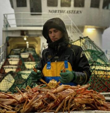 Перемещение по Жизни Алины Бурковски: Радикальный Зигзаг от IT-Гуру к Заработку на Краболовном Корабле Алина Бурковски краболов