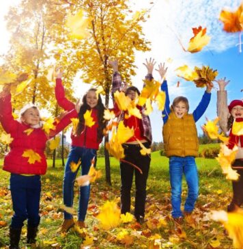Как организовать отдых школьника и ребенка в осенние каникулы?