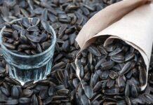 Почему так популярны семечки?