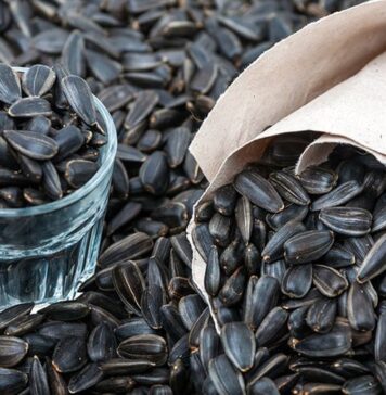 Почему так популярны семечки?