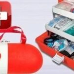 Основные инструменты и препараты для домашней аптечки животных