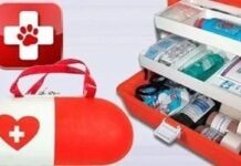 Основные инструменты и препараты для домашней аптечки животных