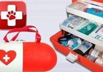 Основные инструменты и препараты для домашней аптечки животных