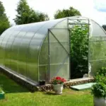 Садовые теплицы из поликарбоната: секреты успешного огородничества