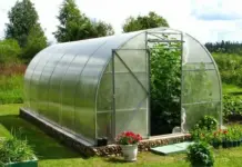 Садовые теплицы из поликарбоната: секреты успешного огородничества